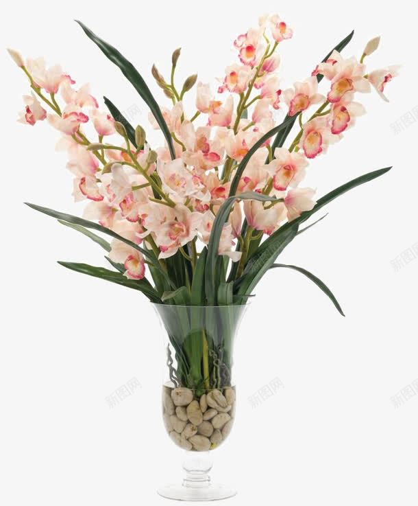 粉红蝴蝶花装饰玻璃花瓶软装摆设png免抠素材_新图网 https://ixintu.com 摆设 玻璃 瓶子里的花 粉红 花瓶 蝴蝶花 装饰 装饰花瓶
