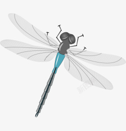 灰色卡通手绘飞翔蜻蜓素材