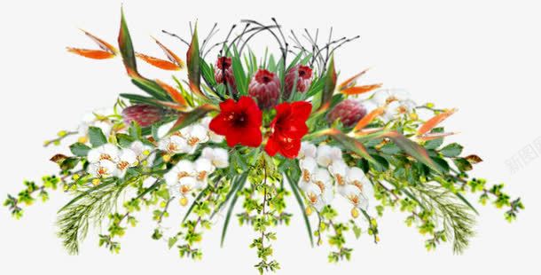 绿藤鲜花png免抠素材_新图网 https://ixintu.com 树藤 绿藤 花朵 花篮 鲜花