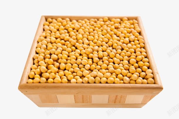 方形木箱里的黄豆png免抠素材_新图网 https://ixintu.com 大豆 大豆蛋白 营养 蛋白 谷物 豆制品 豆类 食品 食物 高蛋白 黄豆 黄豆粒