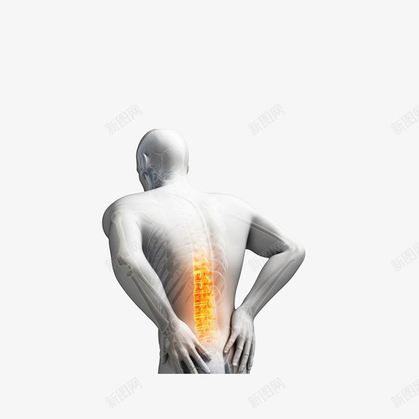双手扶着腰的3D小人png免抠素材_新图网 https://ixintu.com 3D小人 双手扶腰 腰椎痛 颈肩腰腿痛