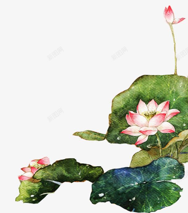 古风荷花池唐png免抠素材_新图网 https://ixintu.com PNG 古风 绿色