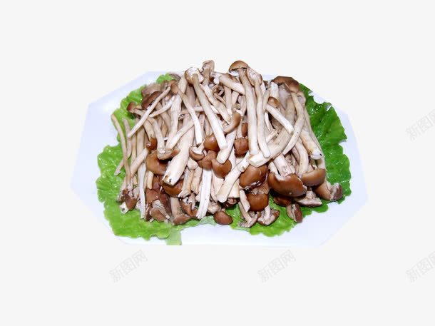 茶树菇配菜拼盘图png免抠素材_新图网 https://ixintu.com 美味 美食 茶树菇 菌类 菌类拼盘 蔬菜 蘑菇 餐饮美食