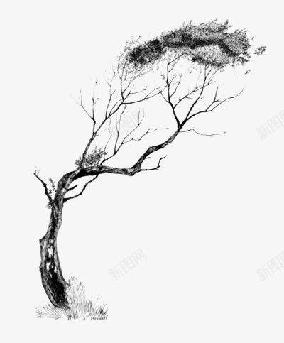 枯树png免抠素材_新图网 https://ixintu.com 一棵枯树 中国风 古树 枯树枝 树苗 水墨画