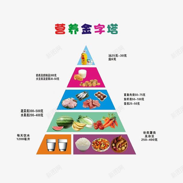营养金字塔png免抠素材_新图网 https://ixintu.com 均衡健康饮食 孕妇营养表 每日饮食安排 热量金字塔 膳食金字塔 营养金字塔
