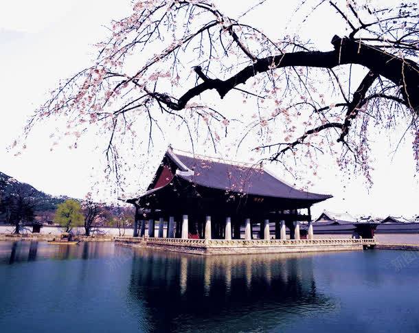 韩国首尔风景png免抠素材_新图网 https://ixintu.com 世界风景 亚洲图片 名胜古迹 图片素材 实物图 建筑 摄影图 旅游摄影 樱花 韩国 风景名胜 首尔 高清图片 高清摄影
