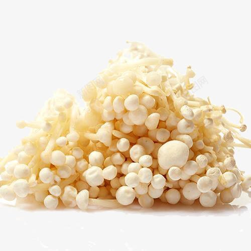 新鲜菌菇png免抠素材_新图网 https://ixintu.com 一捆金针菇 产品实物 新鲜菌菇 金针菇