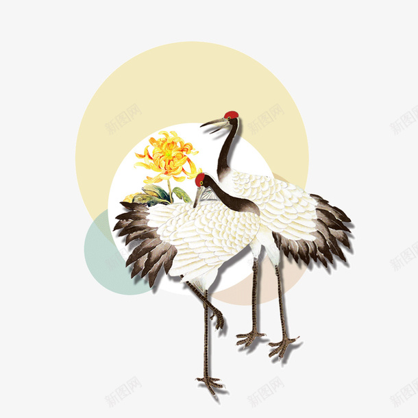 中国风仙鹤插画png免抠素材_新图网 https://ixintu.com 丹顶鹤 仙鹤 国画 节日海报 菊花 赏菊 重阳节