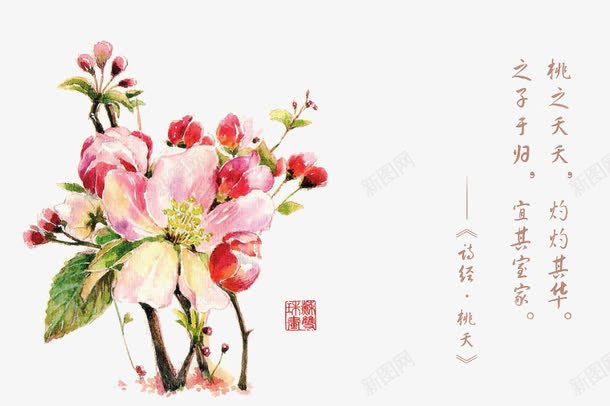 诗经花朵插画配图png免抠素材_新图网 https://ixintu.com 卡通 卡通插画 古风 唯美 手绘 花卉 诗歌 诗经 诗词