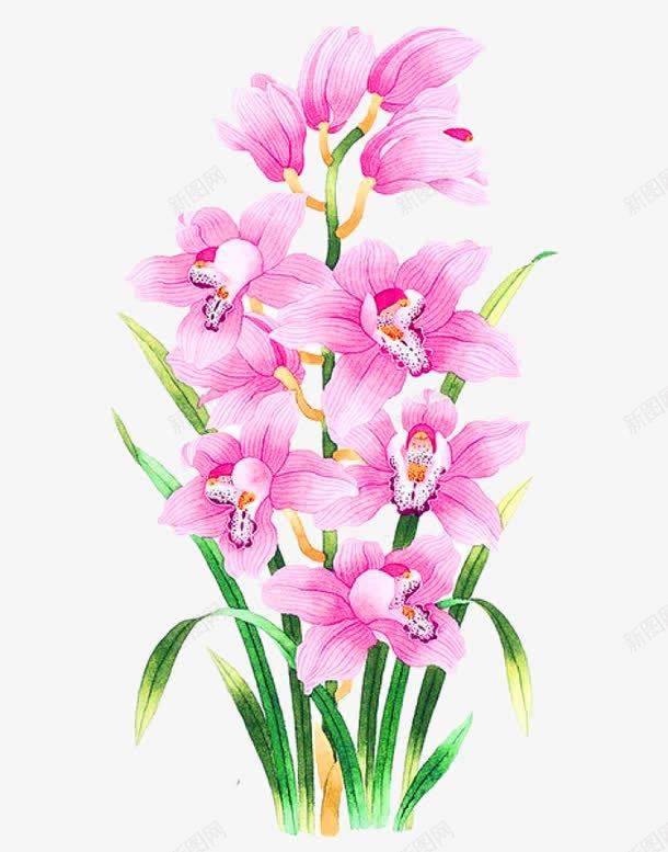 蝴蝶兰花朵png免抠素材_新图网 https://ixintu.com 卡通 叶子 手绘 简图 粉色 绿色 花朵 蝴蝶兰