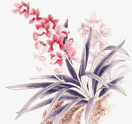 兰花png免抠素材_新图网 https://ixintu.com 网页工笔画花卉