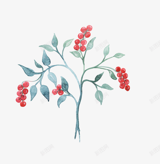 文艺清新花草海报装饰png免抠素材_新图网 https://ixintu.com 小清新花草装饰 文艺花草PPT制作 植物插画 海报设计 花环 花草包装礼盒 花草插画 花草装饰