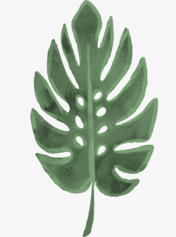 手绘绿色椰叶图素材