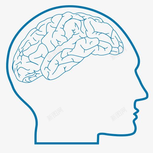 脑血管卡通图png免抠素材_新图网 https://ixintu.com 脑细胞 脑血管 脑血管免抠图 脑血管卡通图 脑袋 脑部 血管图