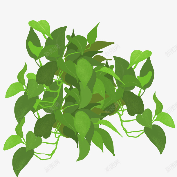 卡通手绘绿箩盆栽png免抠素材_新图网 https://ixintu.com 创意 卡通手绘 植物 盆栽 简约 绿叶 绿箩
