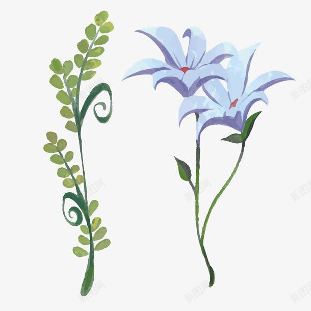 飞燕草花矢量图eps免抠素材_新图网 https://ixintu.com 含羞草 正义 清明 矢量源文件素材 花语 矢量图