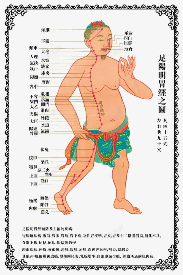 经络图13png免抠素材_新图网 https://ixintu.com 人 十二 古代经络图 底纹 穴位 经络图 背部 花边