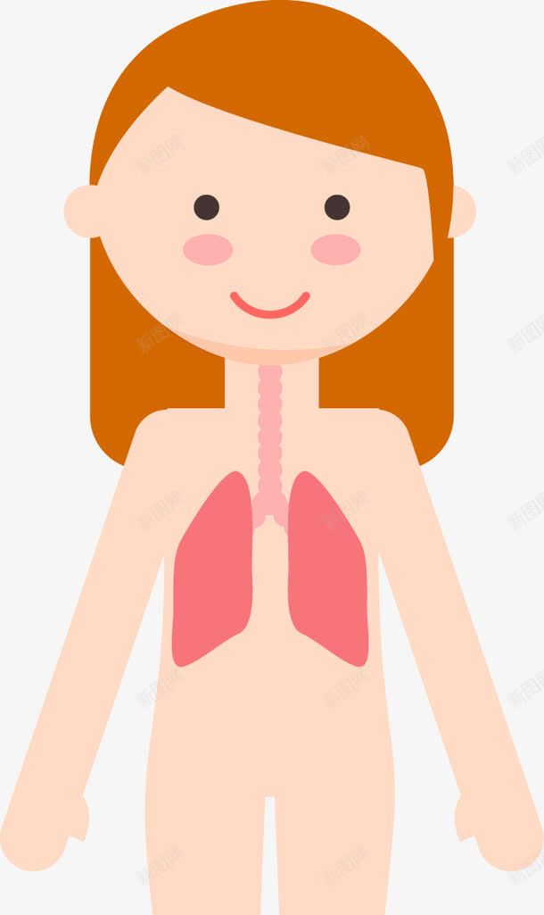 女子6大人体系统png免抠素材_新图网 https://ixintu.com 内分泌系统 呼吸系统 消化系统 神经系统 脉管系统 运动系统