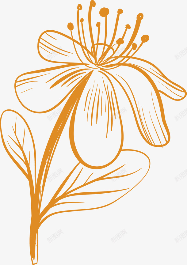 黄色线条金盏花矢量图ai免抠素材_新图网 https://ixintu.com 扁平风格 线条 美丽的金盏花 花卉 花朵 黄色 黄色金盏花 矢量图