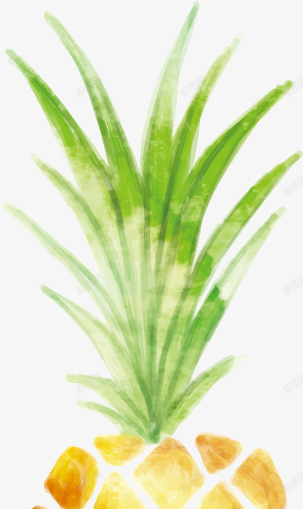 绿色水彩夏日菠萝png免抠素材_新图网 https://ixintu.com summer 可爱凤梨 夏天 夏季 夏日 夏日菠萝 水彩凤梨 水果