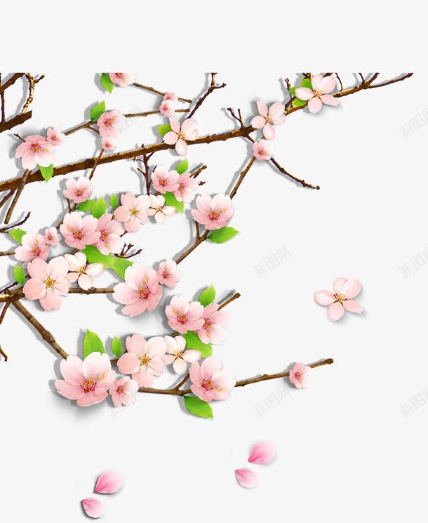 唯美精美桃花花朵花枝花瓣树叶装png免抠素材_新图网 https://ixintu.com 唯美 树叶 桃花 精美 花朵 花枝 花瓣 装饰