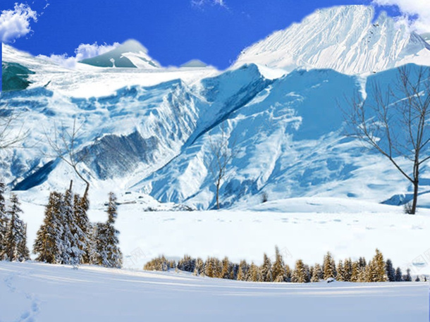 雪山雪松700x750png免抠素材_新图网 https://ixintu.com 图片 素材 雪山 雪松