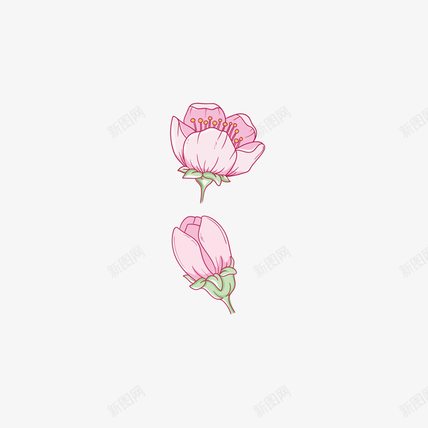精致手绘腊梅花骨朵png免抠素材_新图网 https://ixintu.com 卡通 手绘 植物 粉色 精致 腊梅 花 花朵 花瓣 花苞 花骨朵 蜡梅