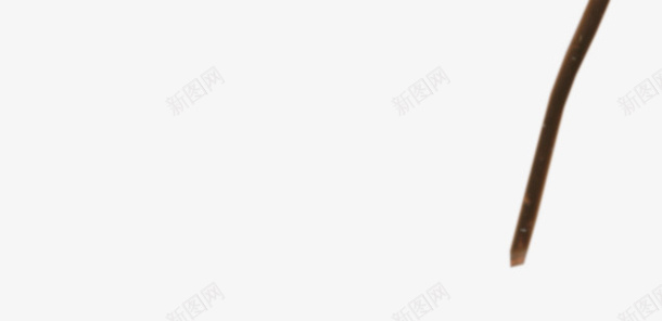 棕色漂亮铜丝png免抠素材_新图网 https://ixintu.com 棕色铜丝 漂亮铜丝 金属铜丝 铜丝
