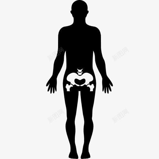 臀部人体部分图标png_新图网 https://ixintu.com hanches 人体成分 人体的身体部位 人的剪影 人骨 内部 站立时 骨头