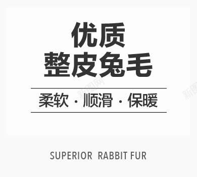 淘宝海报文案排版png免抠素材_新图网 https://ixintu.com 优质整皮兔毛 排版设计 文案设计 柔软顺滑保暖