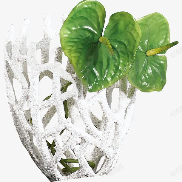 植物装饰png免抠素材_新图网 https://ixintu.com 家居装饰 植物 红掌 花艺 装饰花瓶