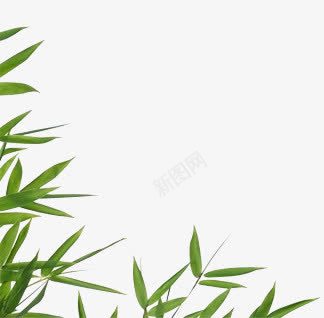 竹叶边角竹叶png免抠素材_新图网 https://ixintu.com 竹叶 边角