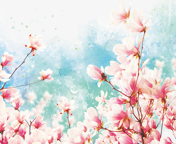 白色透明鲜花漂亮红色png免抠素材_新图网 https://ixintu.com 漂亮 白色 透明 鲜花