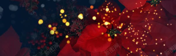 酷炫花瓣淘宝女装banner壁纸jpg设计背景_新图网 https://ixintu.com 光斑 唯美 色彩 鲜花