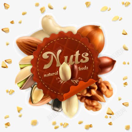 美味的食品干果png免抠素材_新图网 https://ixintu.com 卡通水果 夏威夷果 巴旦木 开心果 新鲜水果 果实 椰子 榛子 生物世界 矢量水果 矢量素材 美味的食品干果 花生 蔬菜水果