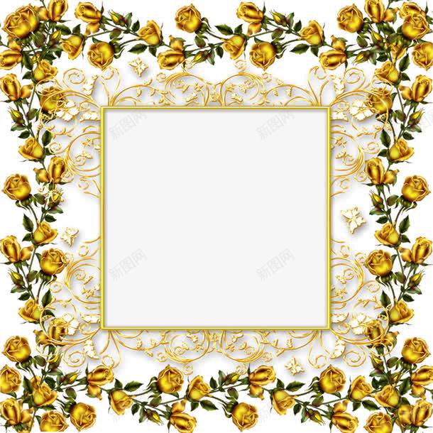 郁金香花瓣金丝边框png免抠素材_新图网 https://ixintu.com 玫瑰 相框 花瓣 花藤 边框 郁金香 金色 镀金