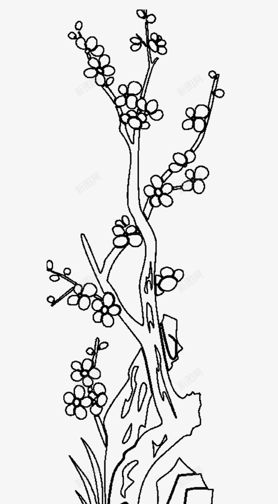 岩石丛上生长的梅花树简笔画