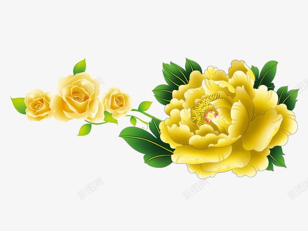 牡丹鲜花psd免抠素材_新图网 https://ixintu.com 国画牡丹 牡丹花 牡丹花矢量图 玫瑰花 花鸟 菊花 鲜花素材