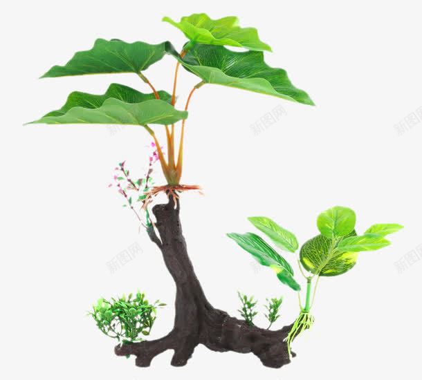 仿真水沉木水草布景树脂png免抠素材_新图网 https://ixintu.com 产品实物 仿真树根造景木 仿真水沉木水草布景树脂 近劲鱼缸水族箱造景装饰品