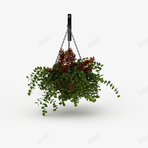 墙壁悬挂吊篮花png免抠素材_新图网 https://ixintu.com 吊篮花 墙壁悬挂吊篮花 悬挂 悬挂吊篮花 红色 红色吊篮花 花草
