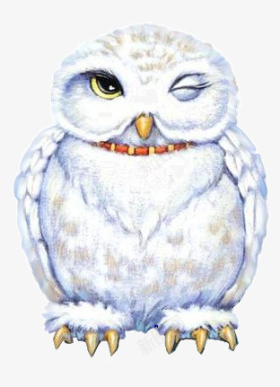 白色手绘猫头鹰png免抠素材_新图网 https://ixintu.com 夜间动物 猫头鸟 猫头鹰 鸟