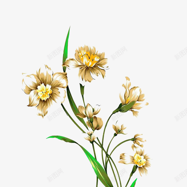 手绘水仙png免抠素材_新图网 https://ixintu.com 复古 手绘 手绘水仙 植物 水仙 水彩 绿色 色彩 花朵