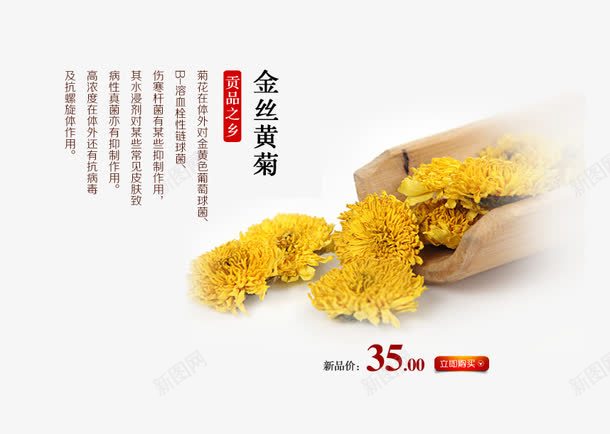 金丝皇菊png免抠素材_新图网 https://ixintu.com 养生 菊花茶 饮品