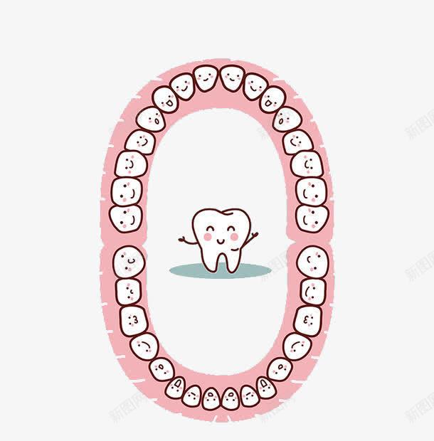 所有牙齿png免抠素材_新图网 https://ixintu.com 卡通 可爱 张嘴