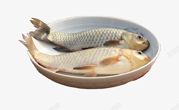 白鲫鱼鱼肉清蒸鲫鱼鲫鱼汤食材鱼png免抠素材_新图网 https://ixintu.com 两条 圆盘 尾鳍 平放 清蒸 白色鳞片 白鲫鱼 白鲫鱼鱼肉清蒸鲫鱼鲫鱼汤食材鱼类食品肉类圆盘免费下载
