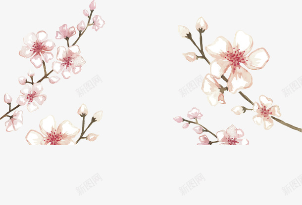 手绘风美丽樱花树枝矢量图ai免抠素材_新图网 https://ixintu.com 手绘樱花 樱花 樱花树枝 矢量png 粉红樱花 美丽樱花 矢量图