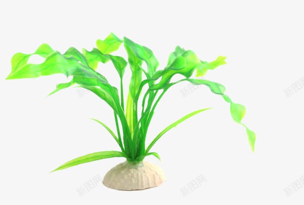 小波浪叶草小草塑料水草布景png免抠素材_新图网 https://ixintu.com 产品实物 小波浪叶草小草塑料水草布景装饰 水族箱水草 鱼缸造景装饰水草 鲜嫩的小草