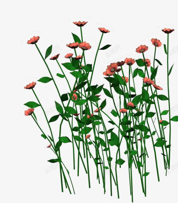 小花支png免抠素材_新图网 https://ixintu.com 七星瓢虫 三角梅 桃花 梅花 水仙花 牡丹 玫瑰 草地 菊花 蝴蝶兰 雏菊