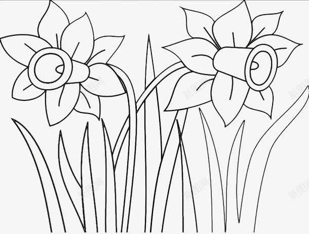 黑色水仙花简笔画png免抠素材_新图网 https://ixintu.com 儿童风格 水仙花 简笔画 花朵