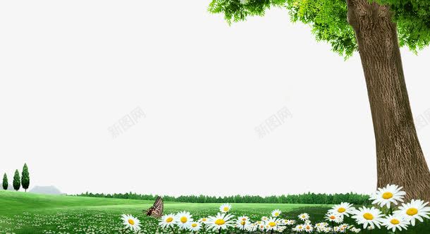 大树草坪背景png免抠素材_新图网 https://ixintu.com 松树 树木 草地 蝴蝶 野菊花